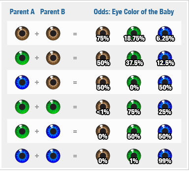 color gene eye chart