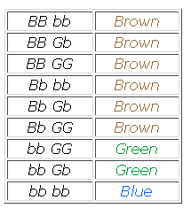 gene-eyecolour