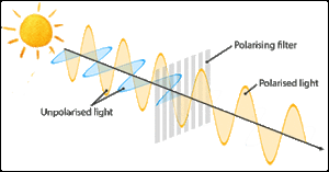 polarised lens